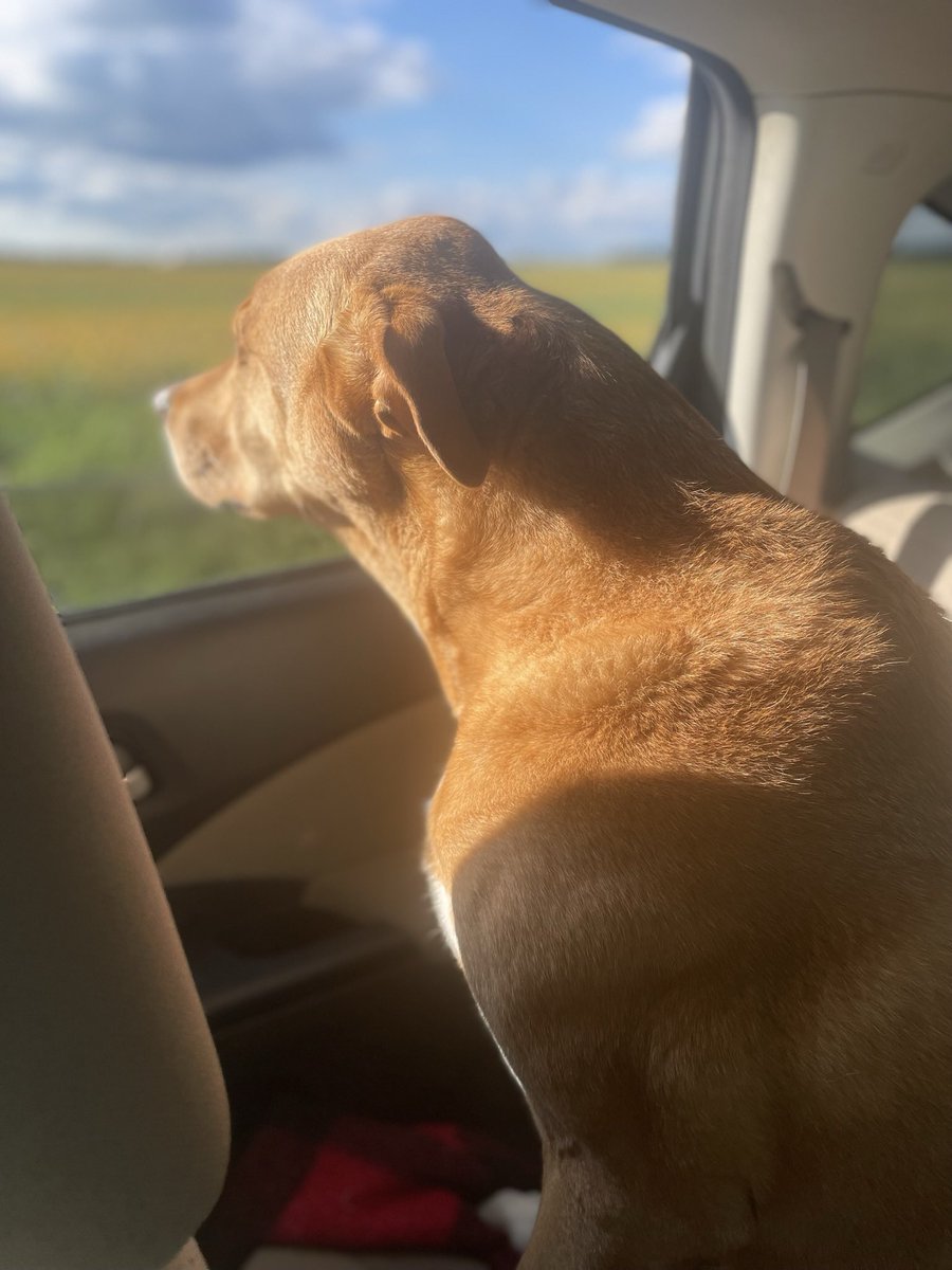 Michael Adkins tweet media