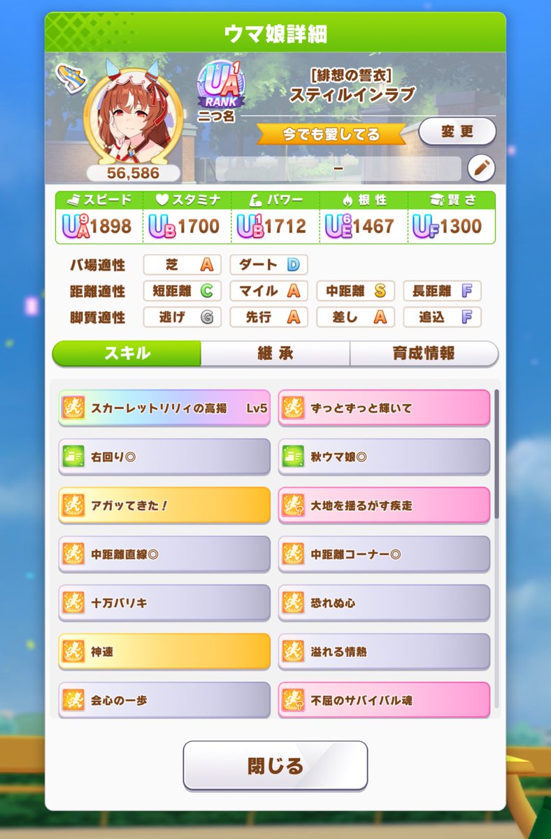 チャンミ個体(仮)