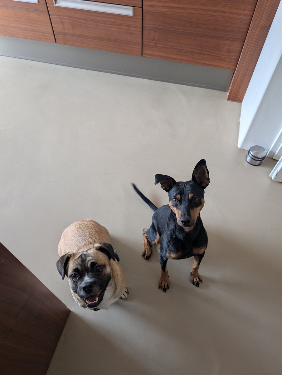 We have a guest for two weeks 😄