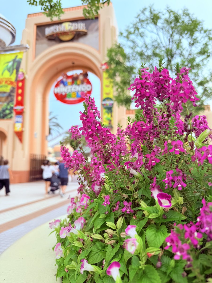 大好きなところへ❤️