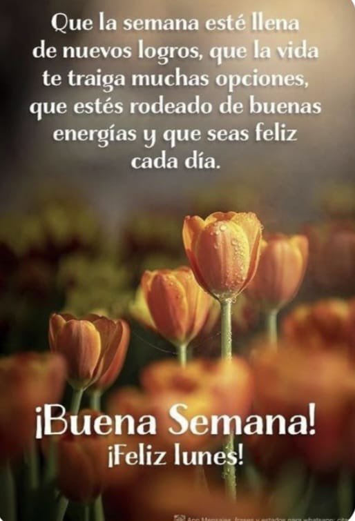 <a href="/magrodri57/">Manuel Garcia</a> <a href="/AldoPTY/">Aldo Espinosa🇵🇦 Mt 8,5-11</a> <a href="/mirolda06/">Dayra Miranda Olmedo 🇵🇦</a> <a href="/Emy734/">Emy734</a> <a href="/Mackverick49/">Mack Mitchell</a> <a href="/PabloPueblo21/">Pablo Pueblo {Sólo el pueblo, salvará al pueblo}</a> <a href="/Lic_Berta_Fong/">Lic. Berta Fong</a> <a href="/LizVargasA1/">Liz 李姿 Vargas A。</a> <a href="/hildesucre/">Hilde</a> <a href="/BertaChanC/">Berta Chan</a> <a href="/janisvc/">TODO LO QUE SOY Y TENGO LO DEBO A DIOS 🙏🏻</a> <a href="/BlueDPty/">Blue Demon</a> <a href="/Ricardo34828953/">Ricardo Antonio Burbano Cano</a> <a href="/Lucho14pty/">Lucho Gutiérrez</a> <a href="/manoloalvarezc/">Manolo Álvarez Cedeñ</a> <a href="/elagentepty10/">Sr.JAVIER</a> <a href="/AnaRaquelSaez/">Ana Raquel Saez</a> <a href="/AneldoArosemena/">Aneldo A. Arosemena B.</a> <a href="/gloriamelania/">Gloria Melania Rodríguez Molina</a> <a href="/Amarili19224594/">Amarilis Salazar</a> Buenos días amigos excelente semana