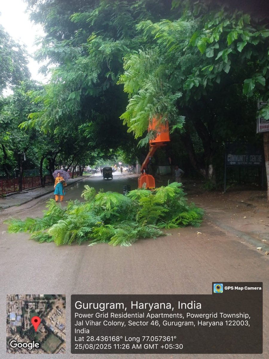 MunCorpGurugram's tweet photo. 🌿🌳 Tree trimming and clearance drive at Power Grid Residential Apartments, Sector 46, Gurugram to ensure safe roads and a greener neighborhood. 💚✨
#MCGTeam
#GreenGurugram #TreeCare #CleanAndGreen #Sector46
@MoHUA_India @cmohry @NayabSainiBJP @Rao_InderjitS @RaoNarbir @VipulGoelBJP @DC_Gurugram @PradeepIAS_HR @diprogurugram1