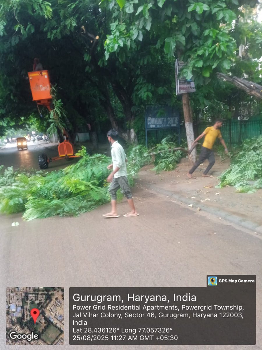 MunCorpGurugram's tweet photo. 🌿🌳 Tree trimming and clearance drive at Power Grid Residential Apartments, Sector 46, Gurugram to ensure safe roads and a greener neighborhood. 💚✨
#MCGTeam
#GreenGurugram #TreeCare #CleanAndGreen #Sector46
@MoHUA_India @cmohry @NayabSainiBJP @Rao_InderjitS @RaoNarbir @VipulGoelBJP @DC_Gurugram @PradeepIAS_HR @diprogurugram1