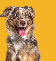 this is what Jeremiah fisher looks like to me