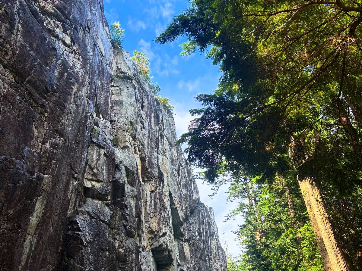 Adventure Recovery tweet media