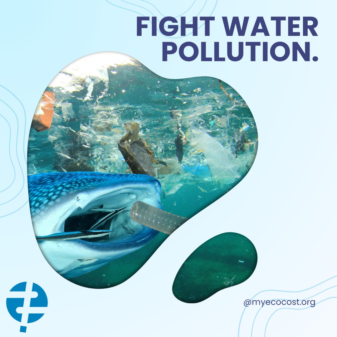 Protect the oceans that billions rely on. Make sustainable choices and fight water pollution. myecocost.org