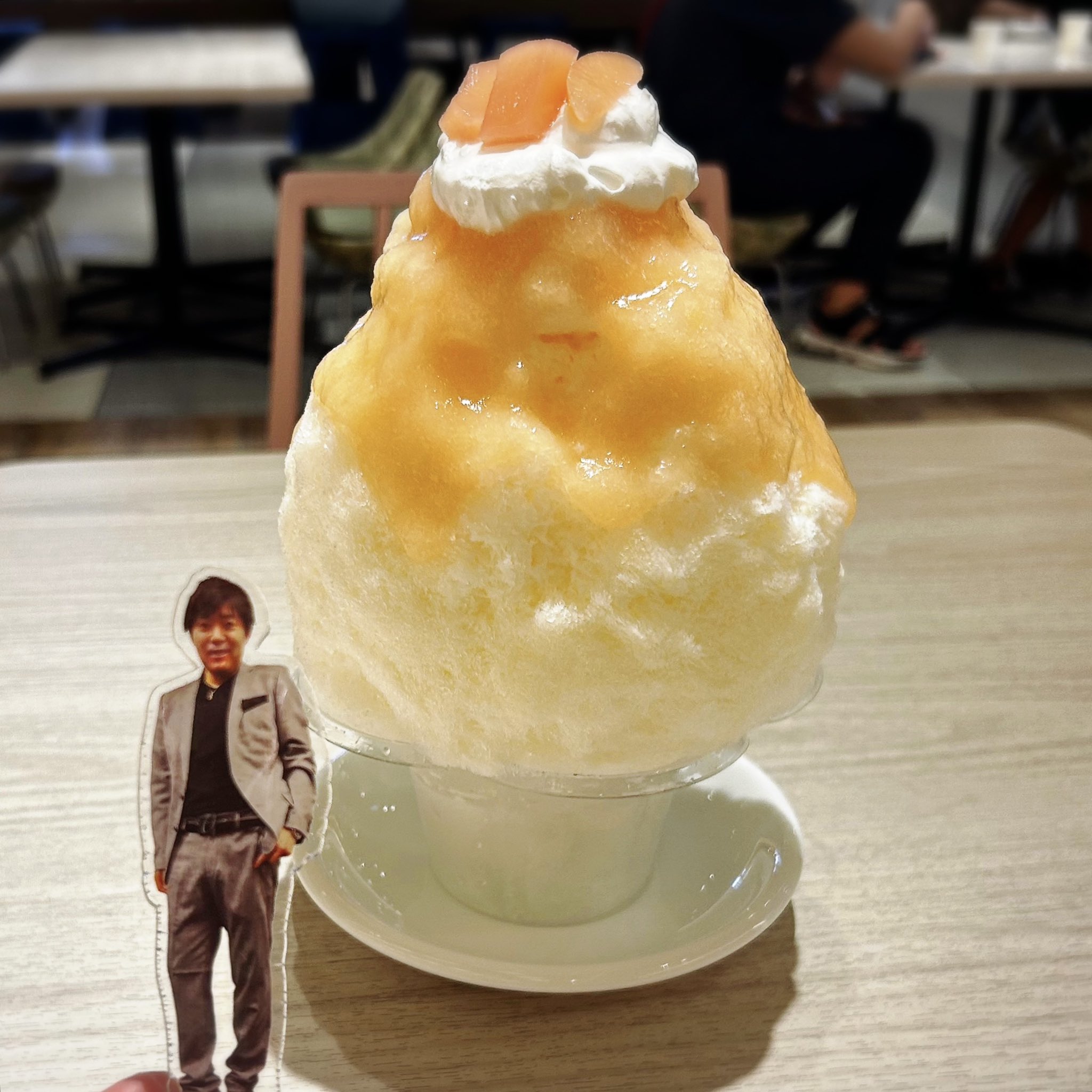 DECO YOSHIDA　かき氷 31345-69-
