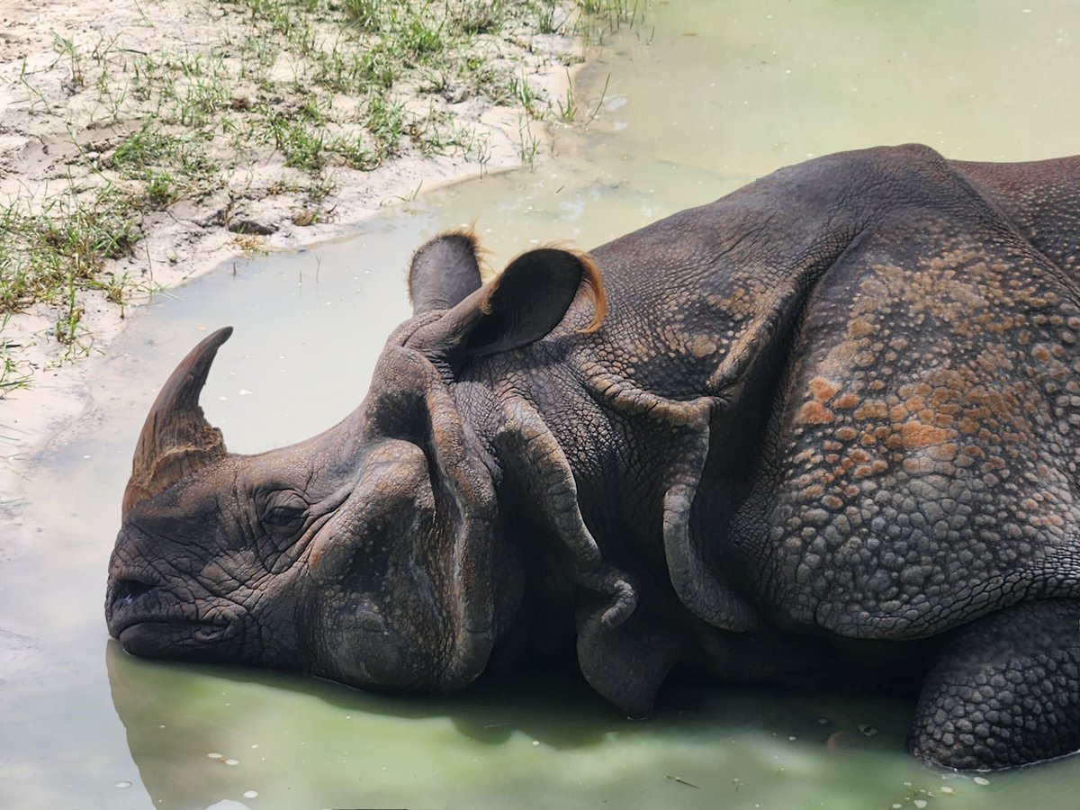 This does not reflect my opinion of the <a href="/Centralflzoo/">Central Florida Zoo</a>! #nofilter