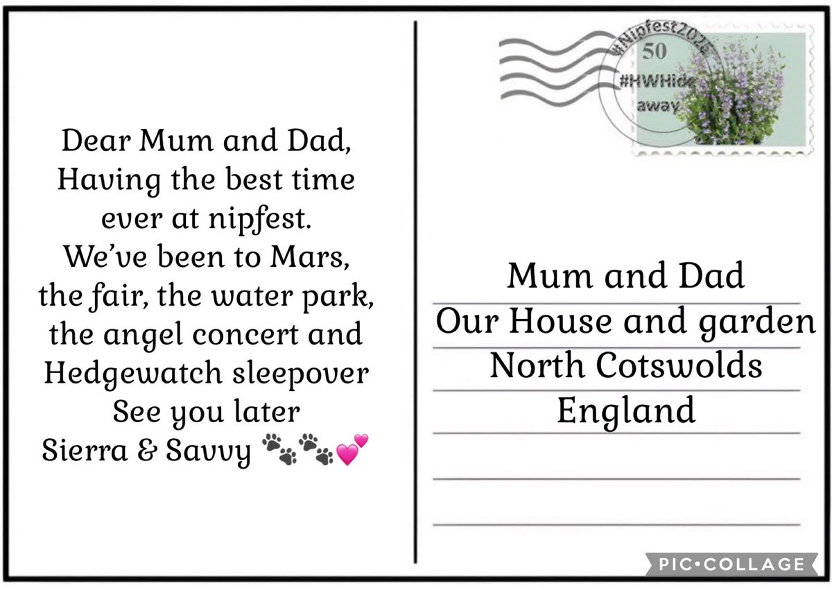 Savvy, we’d better send mum and dad a postcard before we forget #postcardfromnipfest