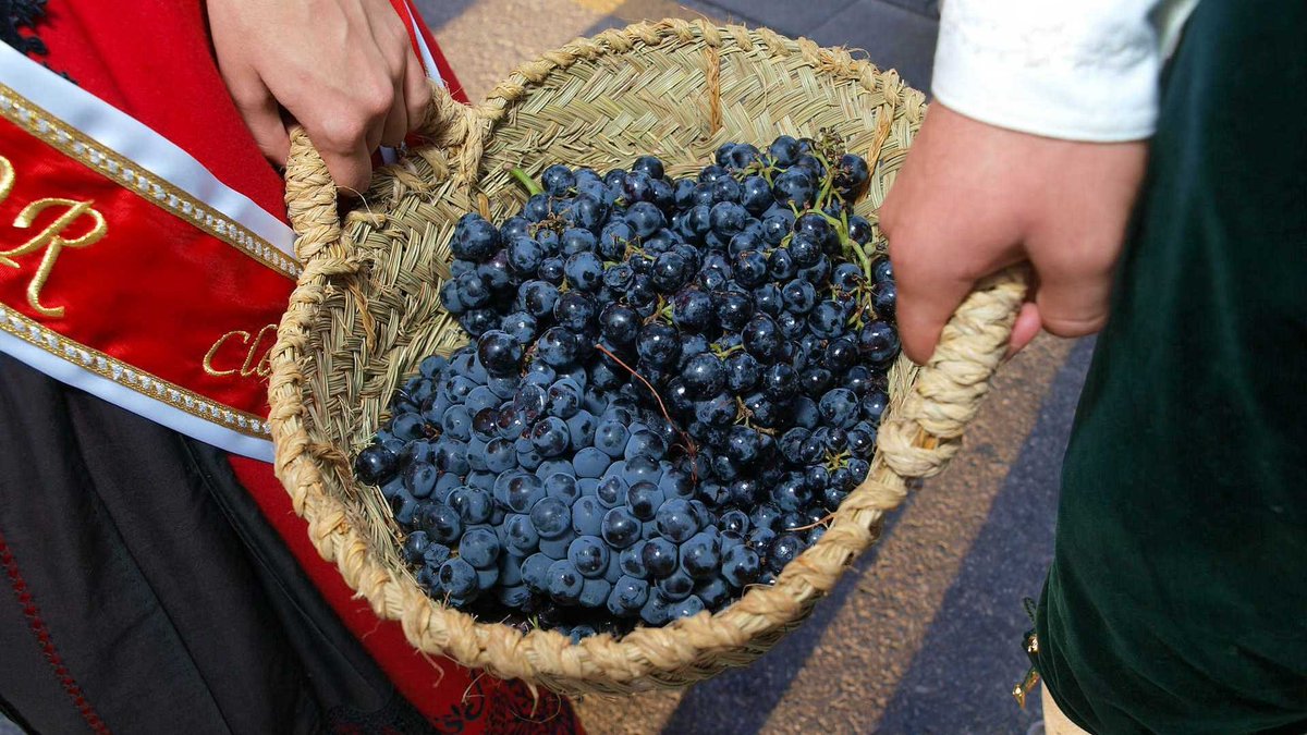 Comunitat Valenciana (@c_valenciana) on Twitter photo 🎉Feria y Fiesta de la Vendimia, Requena
🗓️Del 20/08 al 31/08
🍷Tradición, vino, gastronomía, un gran ambiente... ¿Te sumas a esta celebración?
➡️ bit.ly/3UK4X1K
<a href="/TurismoRequena/">Turismo Requena</a> | #ActitudMediterránea #LExquisitMediterrani 🎉Feria y Fiesta de la Vendimia, Requena
🗓️Del 20/08 al 31/08
🍷Tradición, vino, gastronomía, un gran ambiente... ¿Te sumas a esta celebración?
➡️ bit.ly/3UK4X1K
<a href="/TurismoRequena/">Turismo Requena</a> | #ActitudMediterránea #LExquisitMediterrani