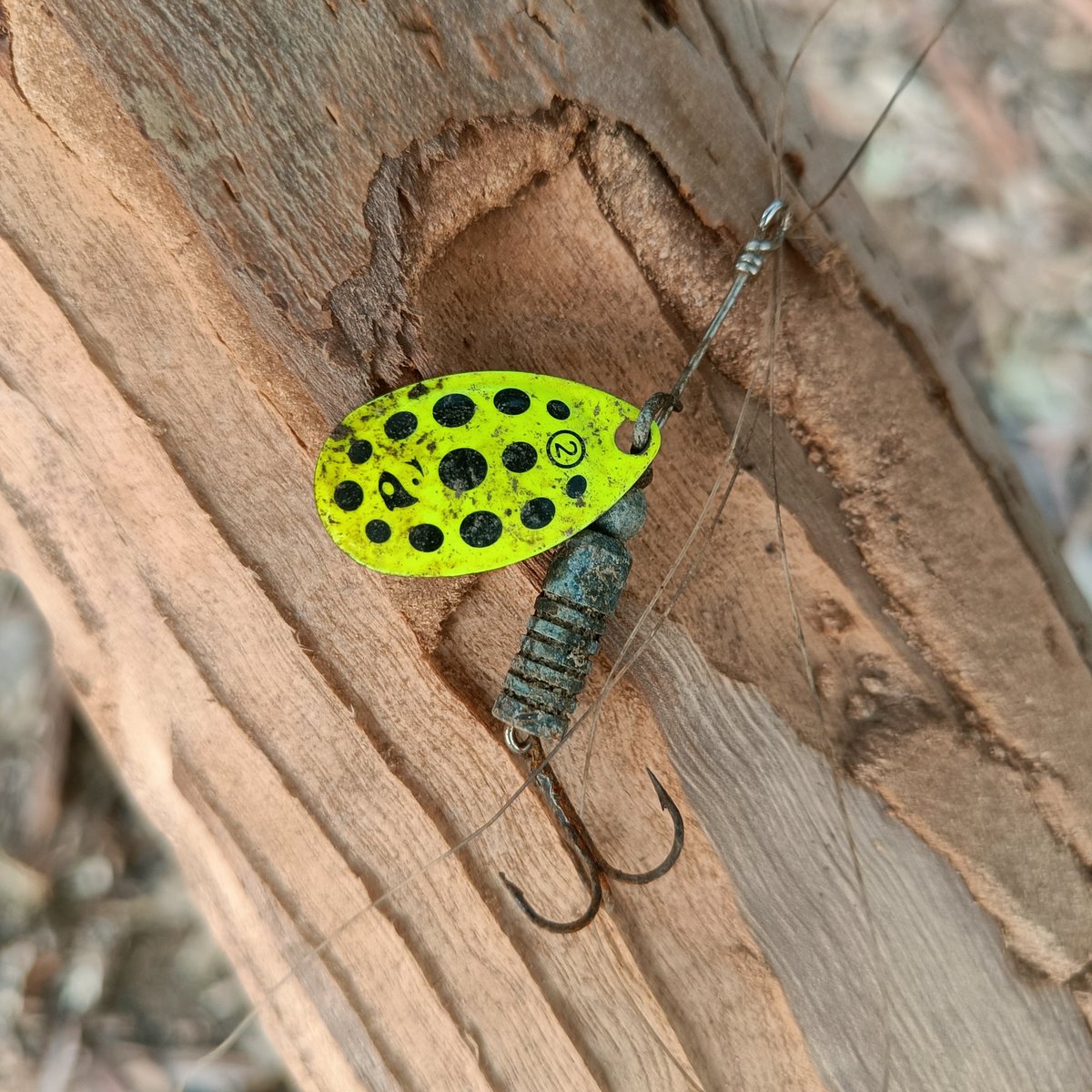 Regalitos mortales que van dejando por ahí los otros verdaderos amantes de la naturaleza, auténticos ecologistas🎣🎣