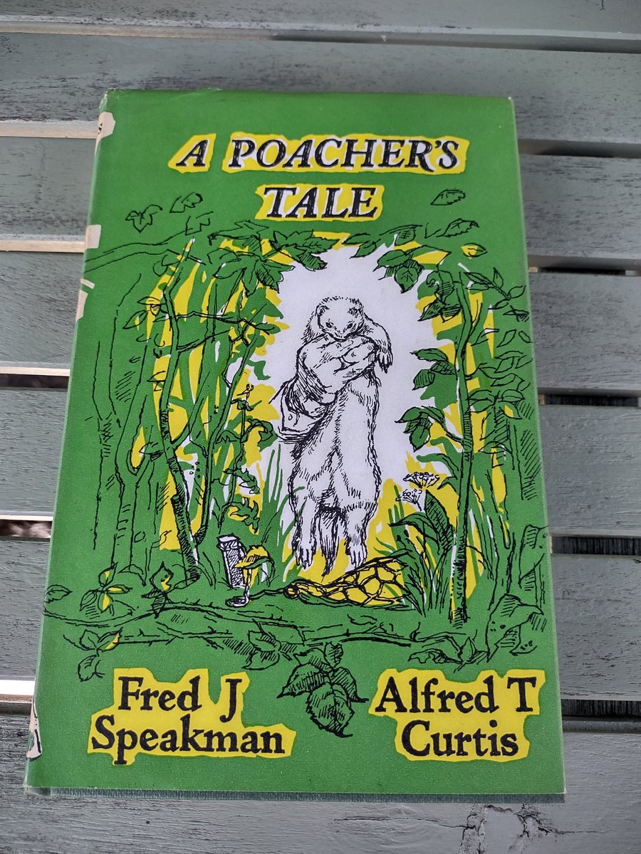 The Trout tweet media