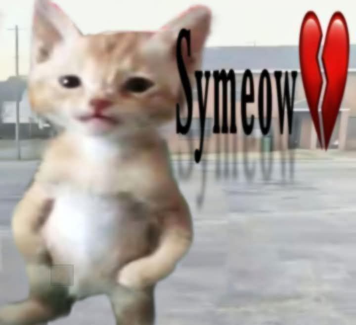 minteddave's tweet photo. Symeow 

9nGZLQ6nfzHCKSWYBUR6C4Ho8x4MmdNuqiquP5mspump https://t.co/4AE5A5UHj3