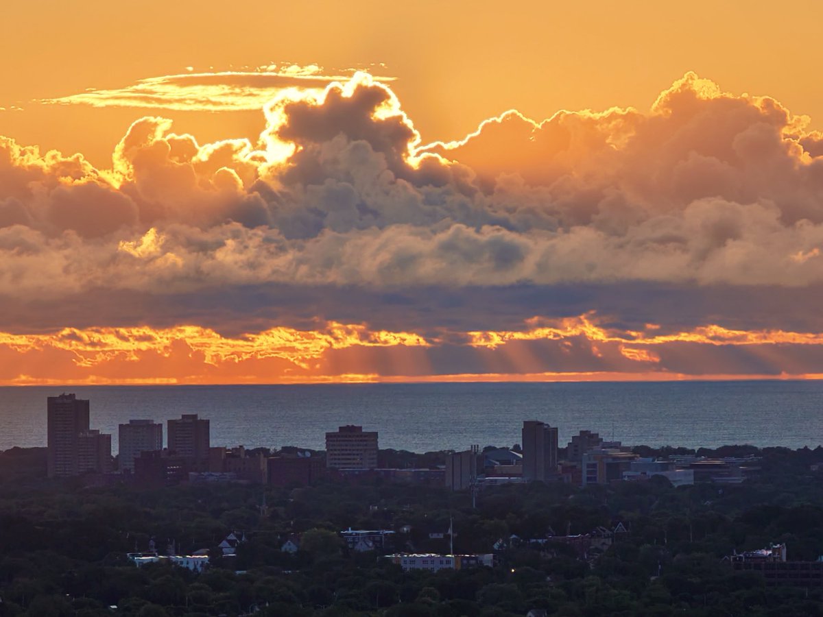 Isaac Rowlett tweet media