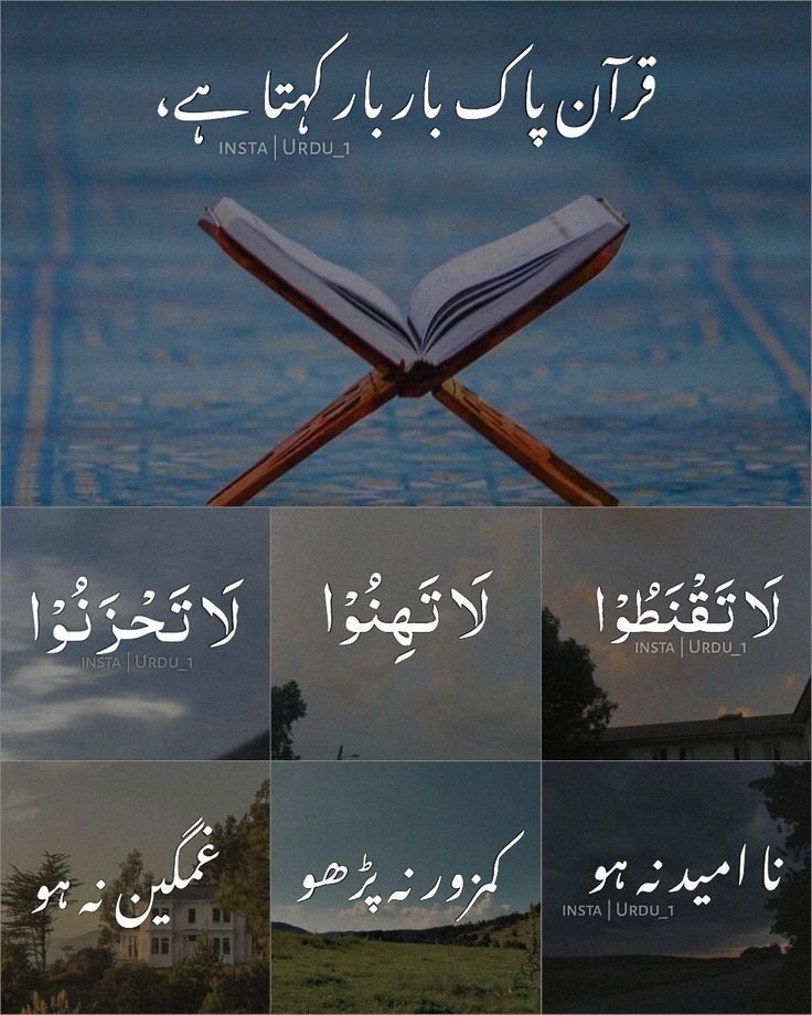 ꧁arsia🕊️ (@ars1a_) on Twitter photo #TPG
<a href="/k_a768/">KAMI</a> <a href="/TarqJ75/">میاں طارق جاوید</a>
<a href="/IK76_/">ꁲꁲꂵ꒐ꌅ Տɑյյɑղ</a> <a href="/1SJ_2/">Sufia SHah🍁</a>
<a href="/Hmid71/">⤥𝙃𝙖𝙢𝙞𝙙 𝙎𝙝𝙯𝙖𝙙⤣</a>
<a href="/n_oo_r7/">ماہ نور💫</a>
<a href="/MH512_/">Husain Ali Alavi🫀</a>
<a href="/Hfz_2/">Abdul Hafeez</a> <a href="/Zt_1_/">Tʰᵘⁿᵈᵉʳ Sᑫᵘᵃᵈزندگی بن گئے ہو تم</a>
<a href="/ait9t/">꧁Farah🕊️ᴾᵃᵏᴾᵒʷᵉʳ</a>
<a href="/1lalh/">Muhammad Hilal</a>
<a href="/_1rhe/">شازیہ</a> <a href="/_Qpr1/">𝒬𝓊𝑒𝑒𝓃ꪫꤪꤨ𝒫𝓇𝑜𝓂𝑜♟️</a>
<a href="/1par0/">𝐐𝐮𝐞𝐞𝐧‿𝐩𝐚𝐫𝐨 ♡</a>
<a href="/1Lvz0/">𝐿𝒶v𝑒𝑒𝓏𝒶_🍃</a>
<a href="/3Hrm_/">Hurram</a>
<a href="/Mir44_/">Sᴍoͥkeͣrͫ ོ 🦅</a> <a href="/IK92K/">𝔸𝕝𝕚</a>
<a href="/glmsjd/">𝑺𝒂𝒋𝒋𝒂𝒅 ✨</a>
<a href="/k_ali40/">kamran ali</a>
<a href="/Hfz48/">Hᴀғᴇᴇᴢᴀʜ Aᴋʙᴀʀ</a>
<a href="/Kl_360/">Serial_Killer</a> <a href="/Is_804/">itx_shieldTʰᵘⁿᵈᵉʳ Sᑫᵘᵃᵈ</a>
<a href="/ZK__35/">ZK</a>
<a href="/9oshg/">🌸 نوشی🌸</a>
<a href="/m80mh/">Muhammad Hilal</a>
<a href="/__Libra1/">𝚂𝚞𝚏𝚒𝚊 𝚂𝚑𝚊𝚑🍁</a> <a href="/anm40/">Anam Kanwal</a>
<a href="/MSTX011/">MsTf@</a> <a href="/Sprxzy2/">Umar PTI</a>
<a href="/majavd2/">Muhammad Aslam Javaid</a> <a href="/ISI0013/">Itx_013.</a>
<a href="/Sc2017W/">SC2017</a> <a href="/_afzaL_k/">Afzal khan</a> #TPG
<a href="/k_a768/">KAMI</a> <a href="/TarqJ75/">میاں طارق جاوید</a>
<a href="/IK76_/">ꁲꁲꂵ꒐ꌅ Տɑյյɑղ</a> <a href="/1SJ_2/">Sufia SHah🍁</a>
<a href="/Hmid71/">⤥𝙃𝙖𝙢𝙞𝙙 𝙎𝙝𝙯𝙖𝙙⤣</a>
<a href="/n_oo_r7/">ماہ نور💫</a>
<a href="/MH512_/">Husain Ali Alavi🫀</a>
<a href="/Hfz_2/">Abdul Hafeez</a> <a href="/Zt_1_/">Tʰᵘⁿᵈᵉʳ Sᑫᵘᵃᵈزندگی بن گئے ہو تم</a>
<a href="/ait9t/">꧁Farah🕊️ᴾᵃᵏᴾᵒʷᵉʳ</a>
<a href="/1lalh/">Muhammad Hilal</a>
<a href="/_1rhe/">شازیہ</a> <a href="/_Qpr1/">𝒬𝓊𝑒𝑒𝓃ꪫꤪꤨ𝒫𝓇𝑜𝓂𝑜♟️</a>
<a href="/1par0/">𝐐𝐮𝐞𝐞𝐧‿𝐩𝐚𝐫𝐨 ♡</a>
<a href="/1Lvz0/">𝐿𝒶v𝑒𝑒𝓏𝒶_🍃</a>
<a href="/3Hrm_/">Hurram</a>
<a href="/Mir44_/">Sᴍoͥkeͣrͫ ོ 🦅</a> <a href="/IK92K/">𝔸𝕝𝕚</a>
<a href="/glmsjd/">𝑺𝒂𝒋𝒋𝒂𝒅 ✨</a>
<a href="/k_ali40/">kamran ali</a>
<a href="/Hfz48/">Hᴀғᴇᴇᴢᴀʜ Aᴋʙᴀʀ</a>
<a href="/Kl_360/">Serial_Killer</a> <a href="/Is_804/">itx_shieldTʰᵘⁿᵈᵉʳ Sᑫᵘᵃᵈ</a>
<a href="/ZK__35/">ZK</a>
<a href="/9oshg/">🌸 نوشی🌸</a>
<a href="/m80mh/">Muhammad Hilal</a>
<a href="/__Libra1/">𝚂𝚞𝚏𝚒𝚊 𝚂𝚑𝚊𝚑🍁</a> <a href="/anm40/">Anam Kanwal</a>
<a href="/MSTX011/">MsTf@</a> <a href="/Sprxzy2/">Umar PTI</a>
<a href="/majavd2/">Muhammad Aslam Javaid</a> <a href="/ISI0013/">Itx_013.</a>
<a href="/Sc2017W/">SC2017</a> <a href="/_afzaL_k/">Afzal khan</a>