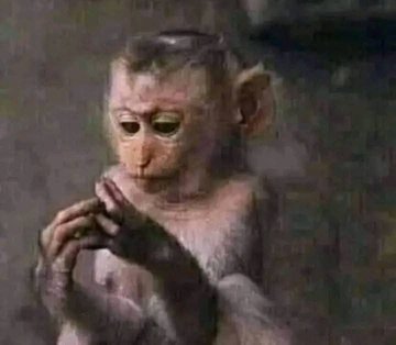 سؤال لمتابعيني
 ليه  تابعتني..؟!