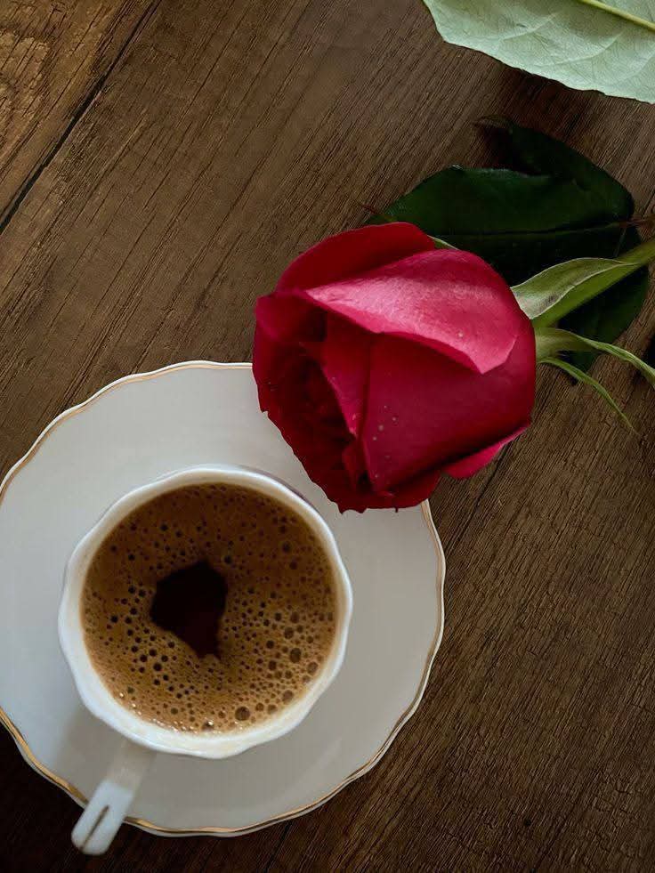 السلام علیکم ورحمة الله وبرکاته✨

Good Evening💗
