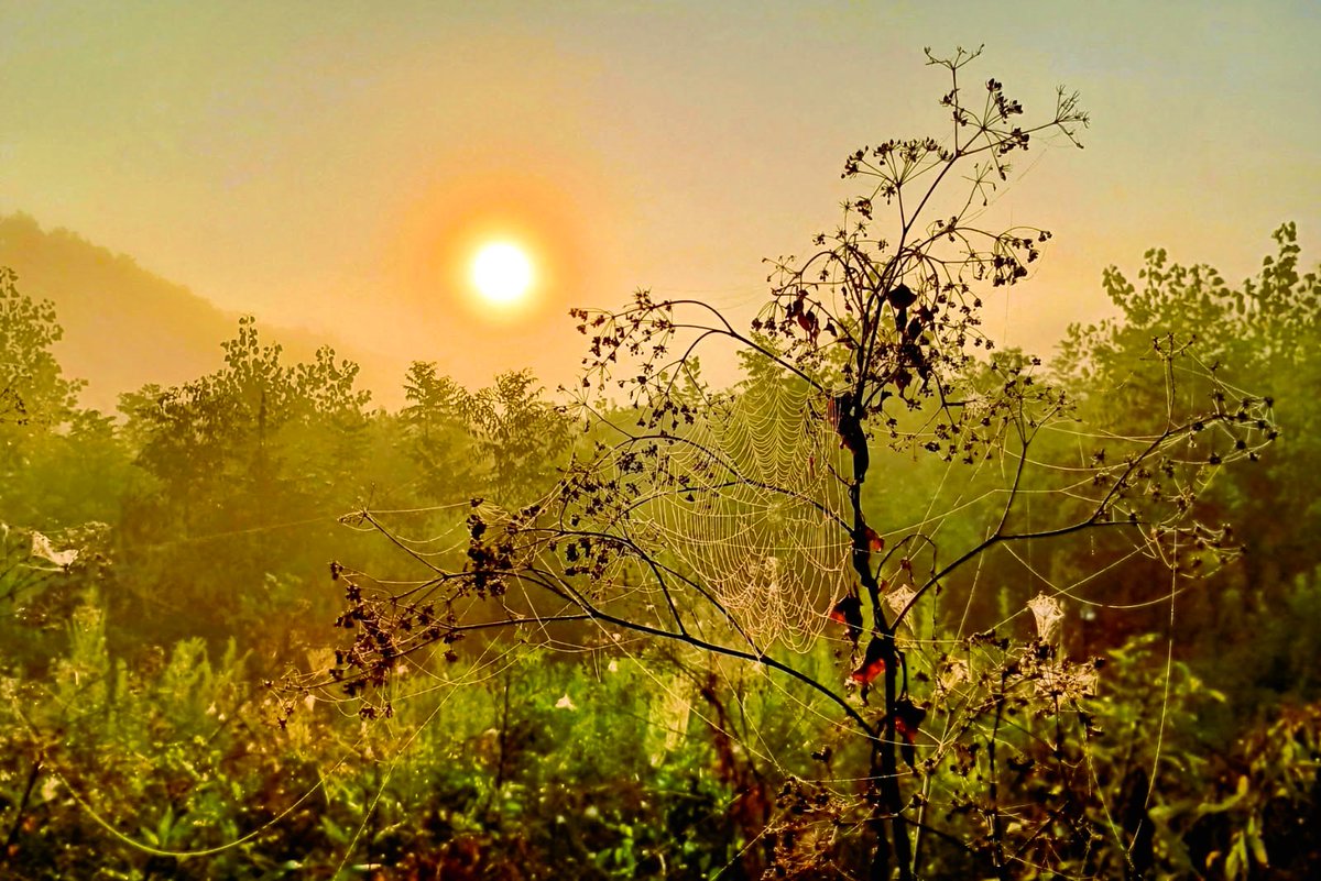 Sunrise over the Honey Creek bottomlands in southern Vigo County ... It's Monday, Hauteans. #MondayMotivation #sunrise #sunrisephotography