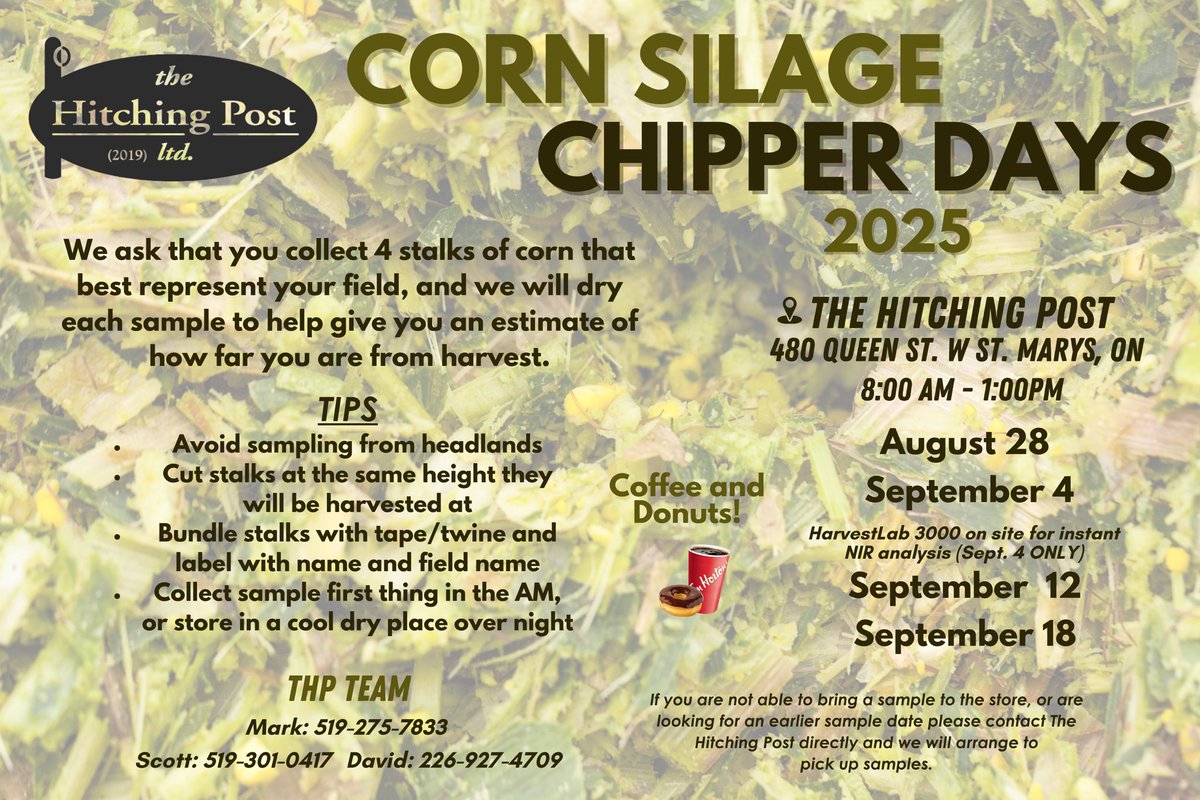 The Hitching Post (2019) Ltd tweet media