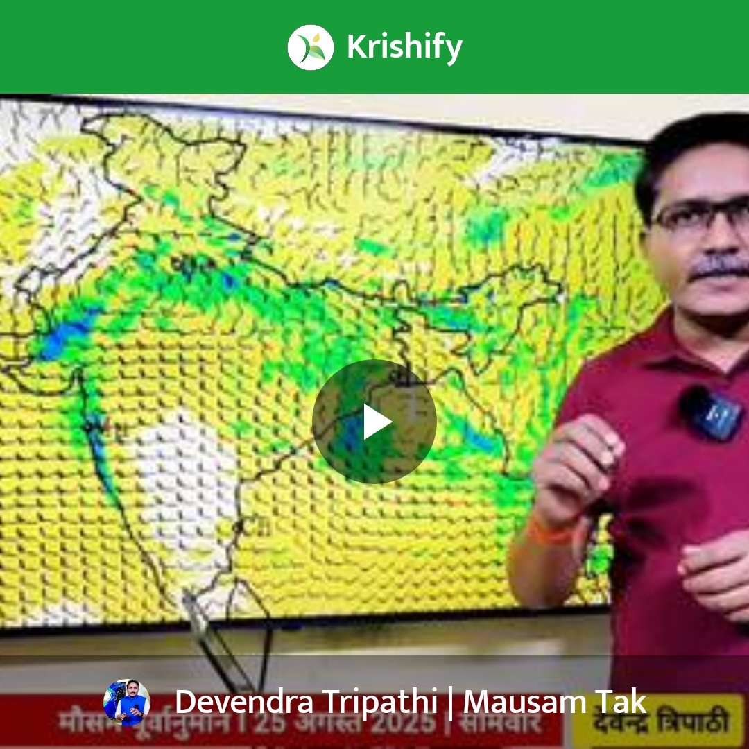 DilipMishr83196's tweet image. जय जवान जय किसान लखनऊ निशातगंज यूपी वंदे मातरम् 🥔🪴🪴krishify.in/ayfMUFjwU
#Krishify