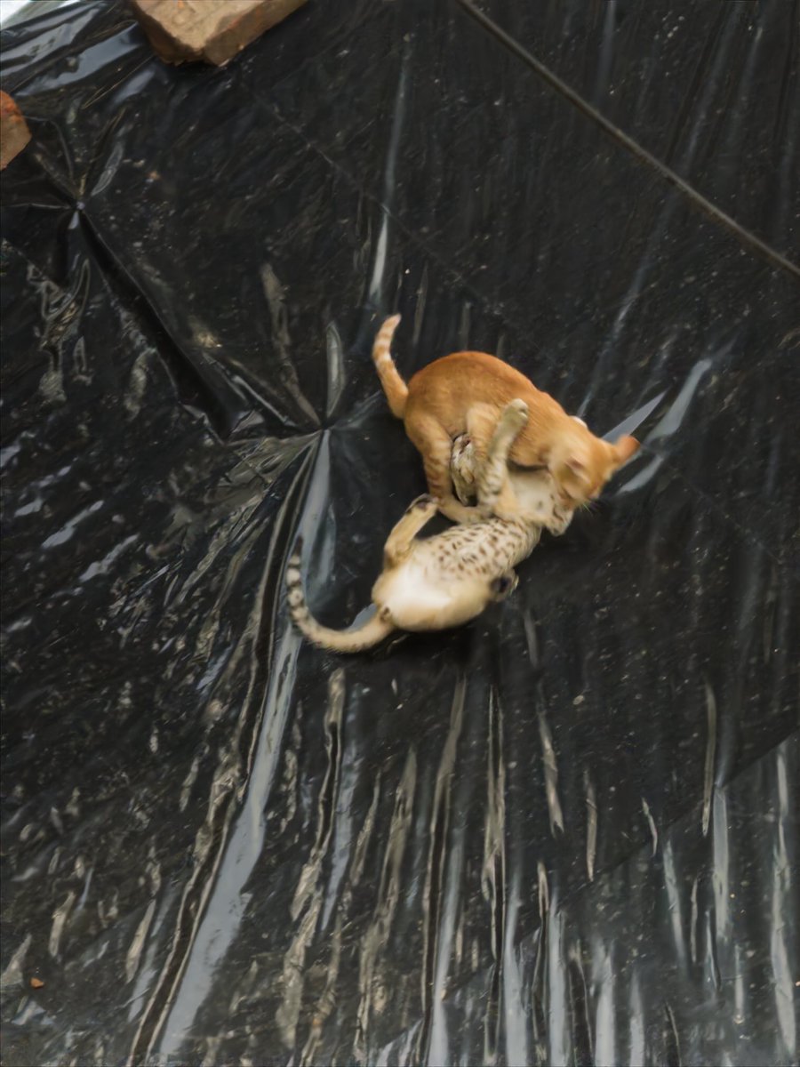 You can’t see me😂😂