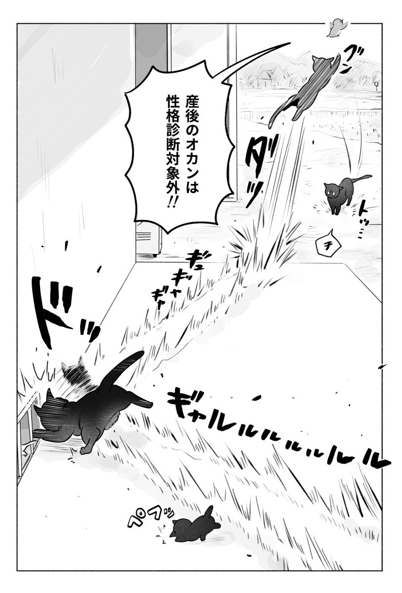 しけたいぬ (@sikesikeinu) / X