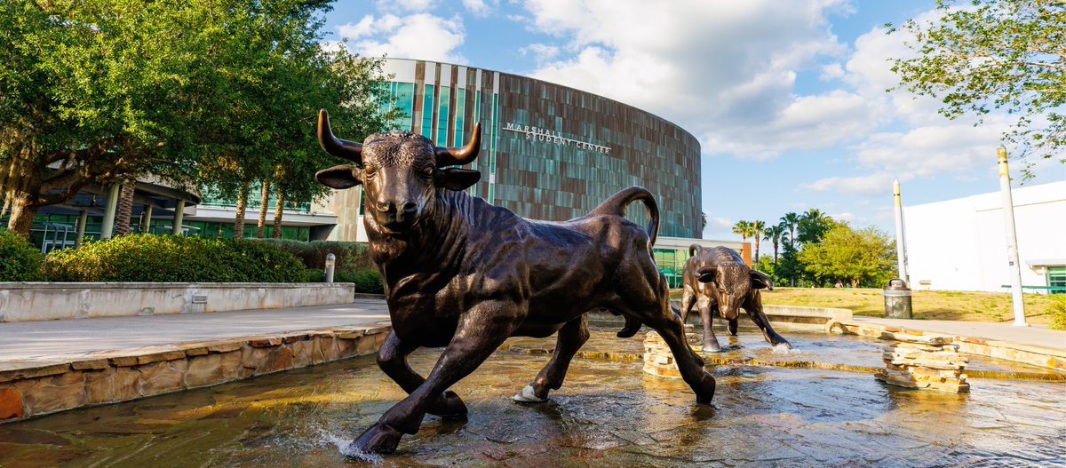 JaneCastor's tweet image. Happy first day of classes, @USouthFlorida &amp;amp; @UofTampa! 📚⚗️🏈📝  I hope you have an awesome, safe year of learning and growth (and hopefully some time for exploring our beautiful city too!).

#GoBulls! #GoSpartans!