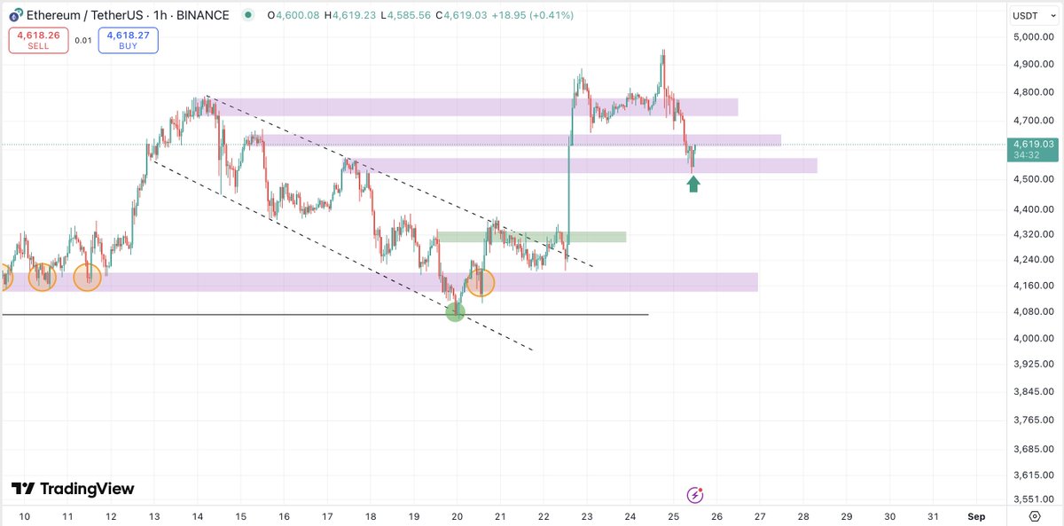 Crypto Fella tweet media