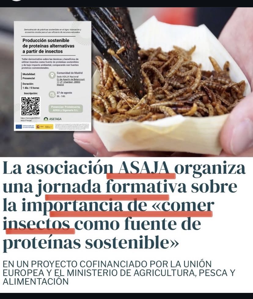Álex N. Lachhein 🇪🇸 (@kirghisz) on Twitter photo 🔴 #AGENDA2030 | ASAJA TRAICIONA AL MUNDO RURAL | Se guillotina poco por estos lares. La Asociacion Agraria de Jóvenes Agricultores (<a href="/AsajaNacional/">Asaja Nacional</a>) se rinde al globalismo: apoya la comida de bichos en lugar del campo español, y organiza una jornada sobre la importancia de «comer 🔴 #AGENDA2030 | ASAJA TRAICIONA AL MUNDO RURAL | Se guillotina poco por estos lares. La Asociacion Agraria de Jóvenes Agricultores (<a href="/AsajaNacional/">Asaja Nacional</a>) se rinde al globalismo: apoya la comida de bichos en lugar del campo español, y organiza una jornada sobre la importancia de «comer