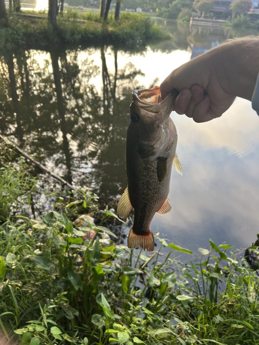 it was a good morning.

now it’s time to build the future of consumer crypto.