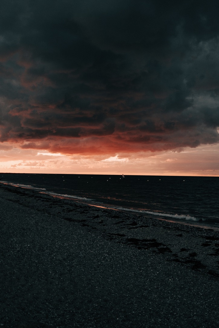 hans 👀 tweet media