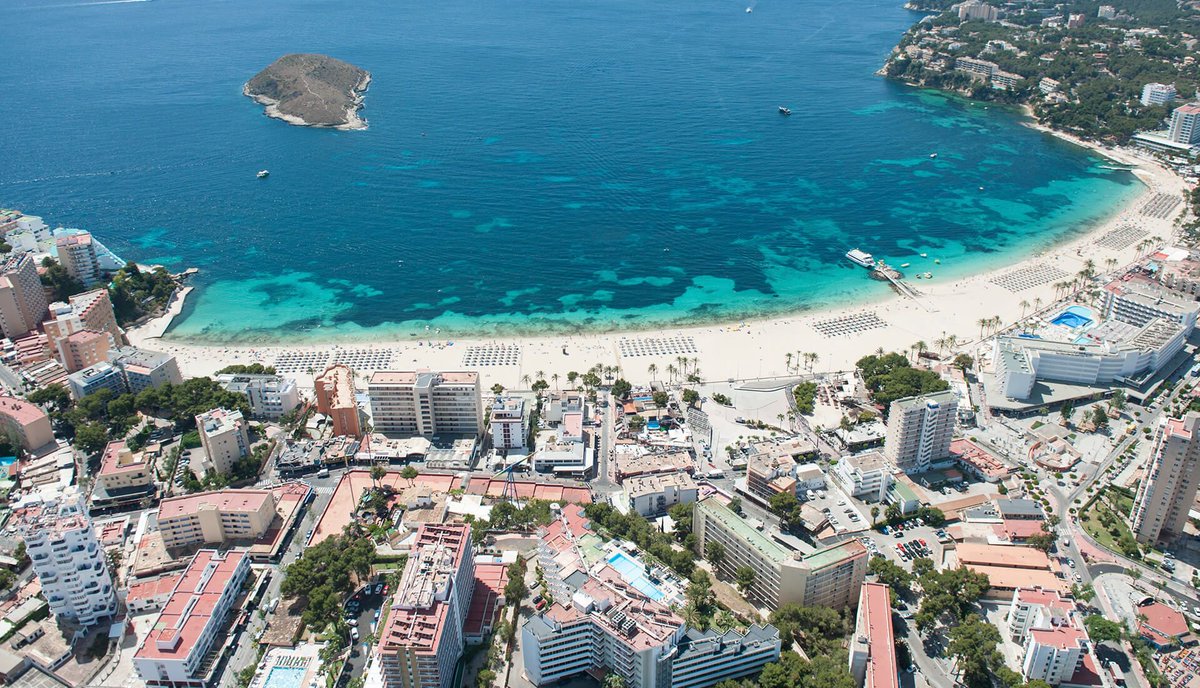 AMT Sol y Playa tweet media