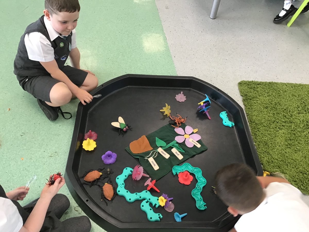 Miss Macfarlane tweet media