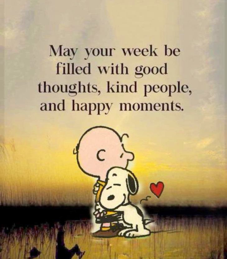 Monday Friendly Reminder… May your week be filled with good thoughts, kind people and happy moments. #MondayVibes #MondayMotivation #NewWeek #PositiveVibesOnly 🙌❤️