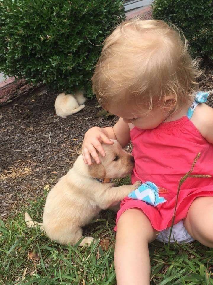 🪽 (@babysmelll) on Twitter photo 