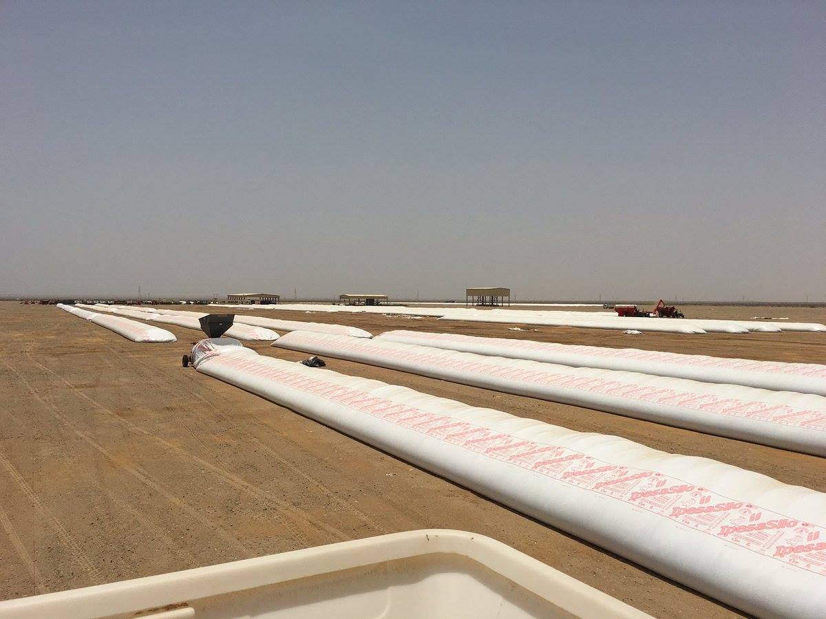 🌍 Así luce una IpesaSilo en Sudán.
👉 Porque donde haya granos para proteger, allí está IpesaSilo.
También en tu campo.

📸 Envianos tu foto con una IpesaSilo!