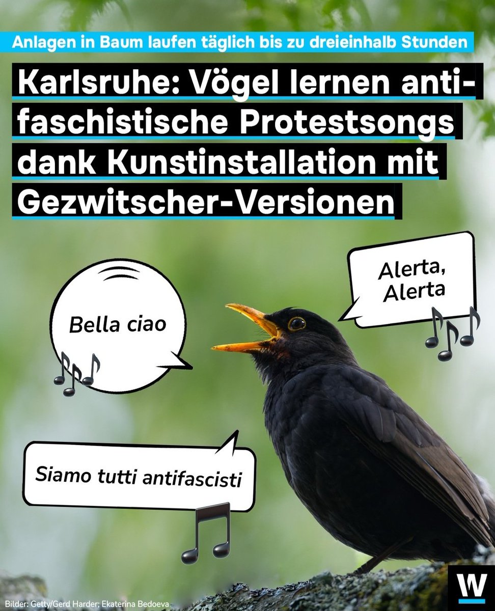 Das ist nur der Anfang. Als nächstes lernen sie, Faschisten auf den Kopf zu kacken.