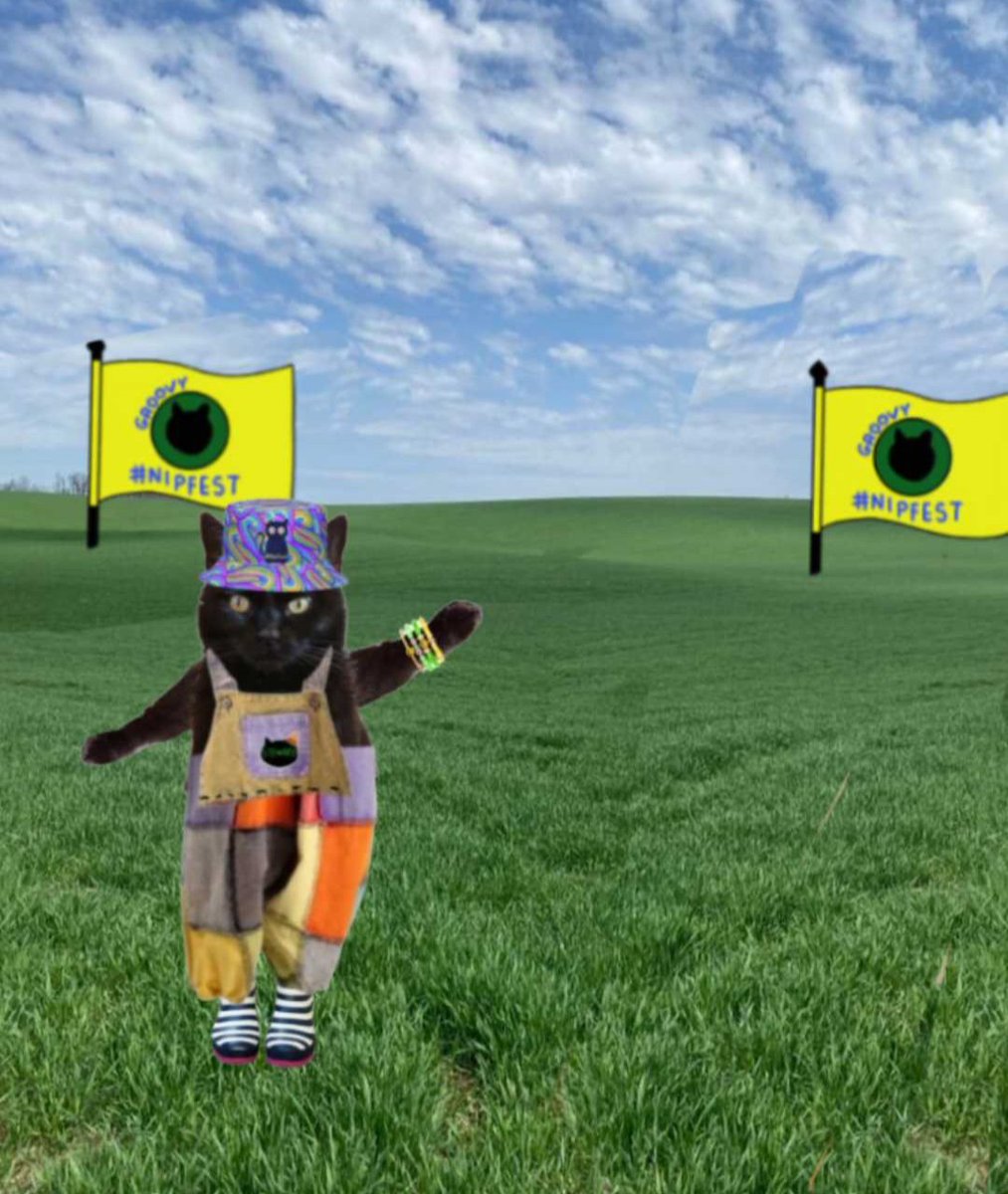 #Nipfest2025 
So, you've seen the origins of nipfest, how it was a crazy idea that germinated an grew into what you see today...
It was friends getting caught up in shenanigans and malarkey.
Well, I feel thats been the key ingredient in nipfests success.
2/6