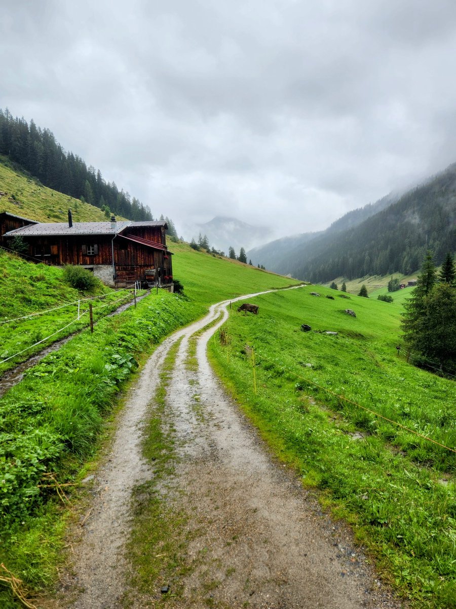 Misty Monday morning in the mountains 🇨🇭