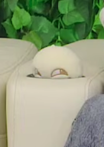 Chenle's doll in the cupholder is taking me out