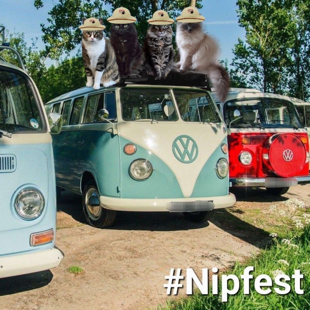 Hekili&Ranger & Lynn Riemer. ππππ (@hibiscuslynn) on Twitter photo It's time to pack up and sadly go home. We had a wonderful time as usual and sad the is the final nipfest. We reconnected with old friends and met new ones. <a href="/Gusnangeldizzy/">Gus & π Dizzy</a>
<a href="/MightyHuntress1/">The Mighty Huntress</a>
#nipfest2025 It's time to pack up and sadly go home. We had a wonderful time as usual and sad the is the final nipfest. We reconnected with old friends and met new ones. <a href="/Gusnangeldizzy/">Gus & π Dizzy</a>
<a href="/MightyHuntress1/">The Mighty Huntress</a>
#nipfest2025