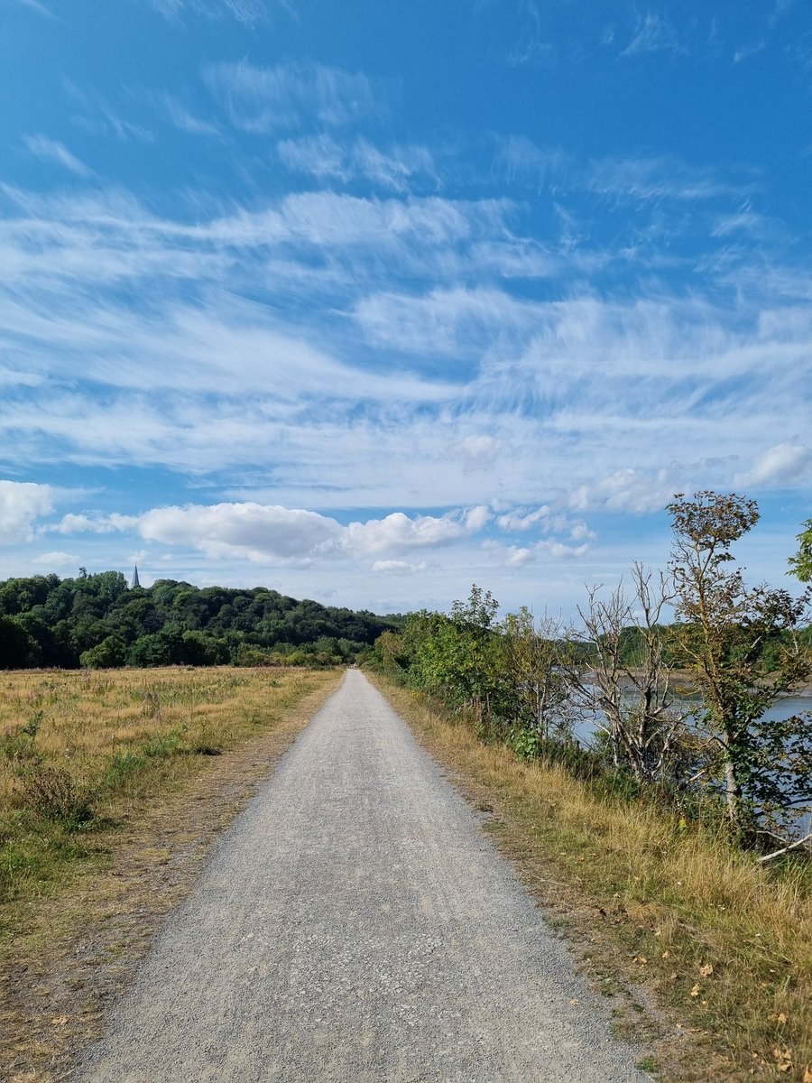 Lamnguin's tweet image. Pics from a nice bank holiday walk