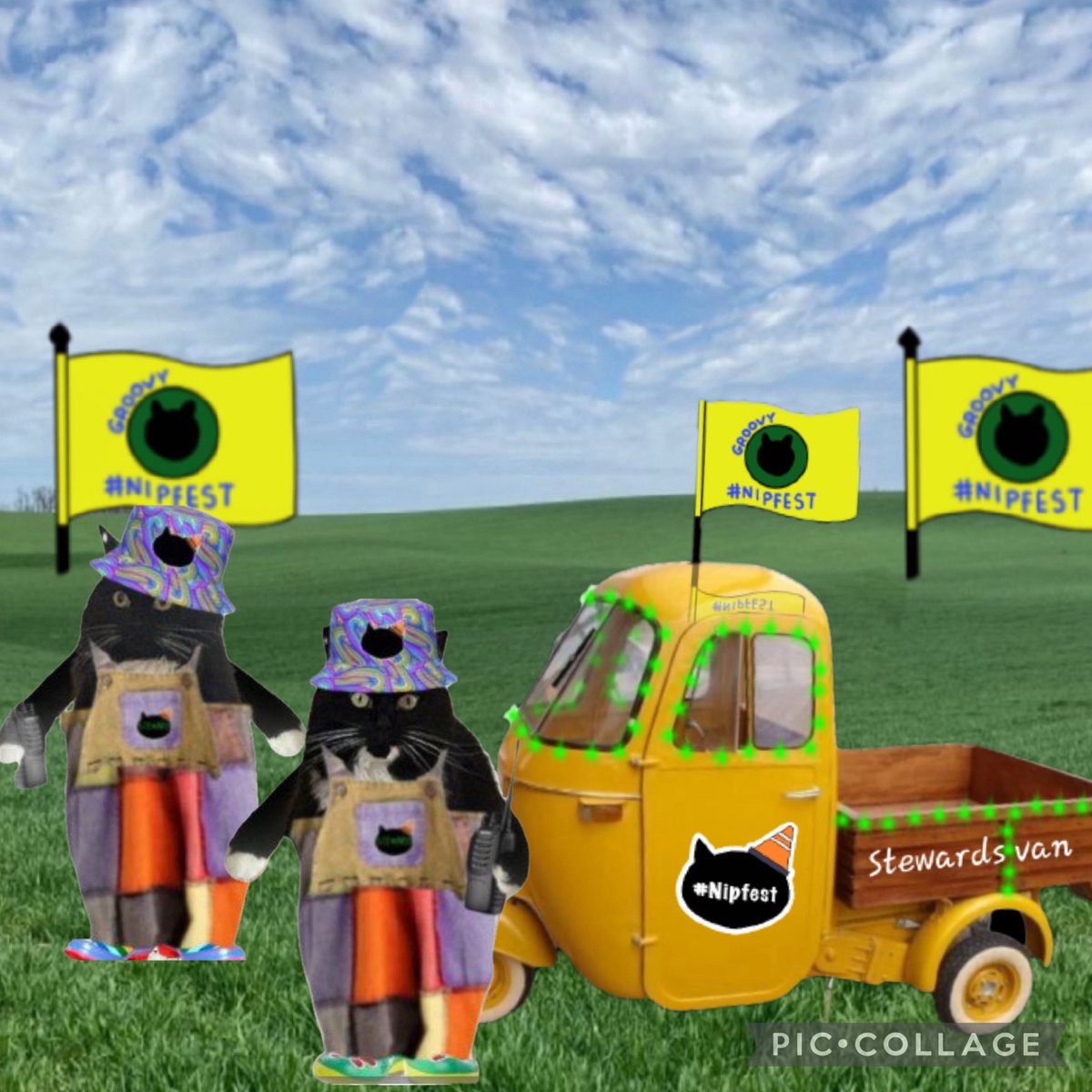 Seems like only yesterday that we arrived and Sierra and Savvy put on their steward uniforms. 
We’re packed up ready to go home once the closing ceremony is finished and we’ve helped tidy up.
It’s been an absolute blast 💥 😻🐈‍⬛💕🐾#Nipfest2025