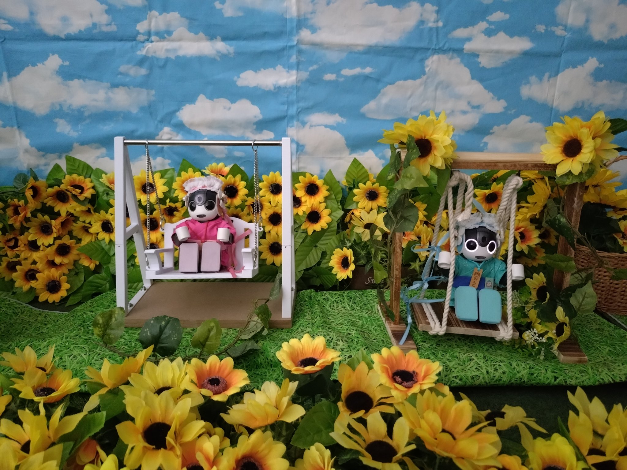 ももちゃん21 (@1264ROC87MzckJC) / X