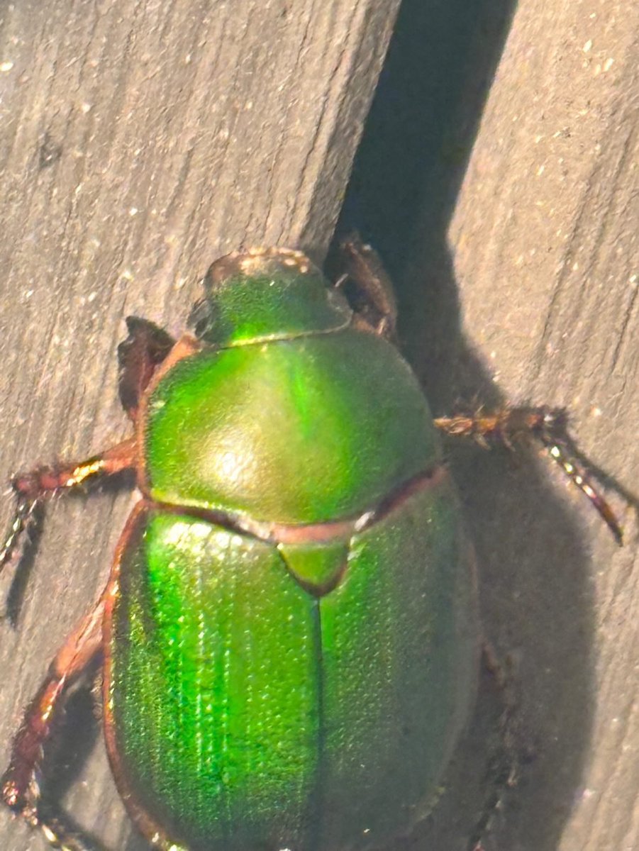 ᭄᭡ ͏ ͏ ͏ tweet media