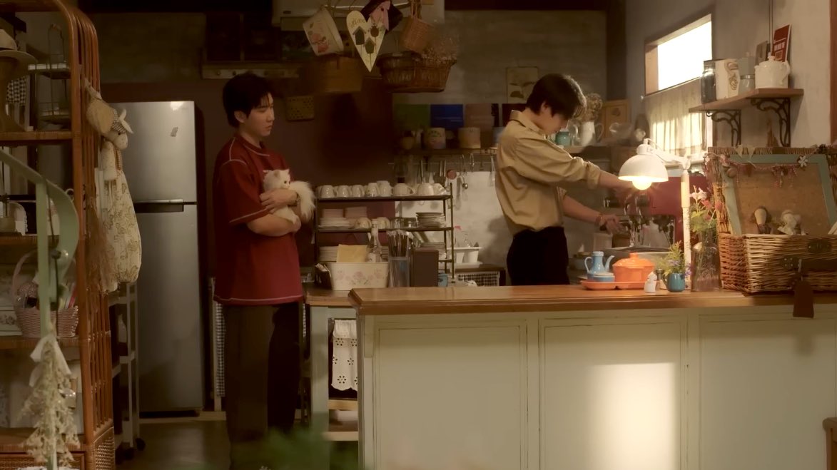 Something about #catforcash possibly airing in autumn.. 🍂🍁☕️🐈🐈‍⬛