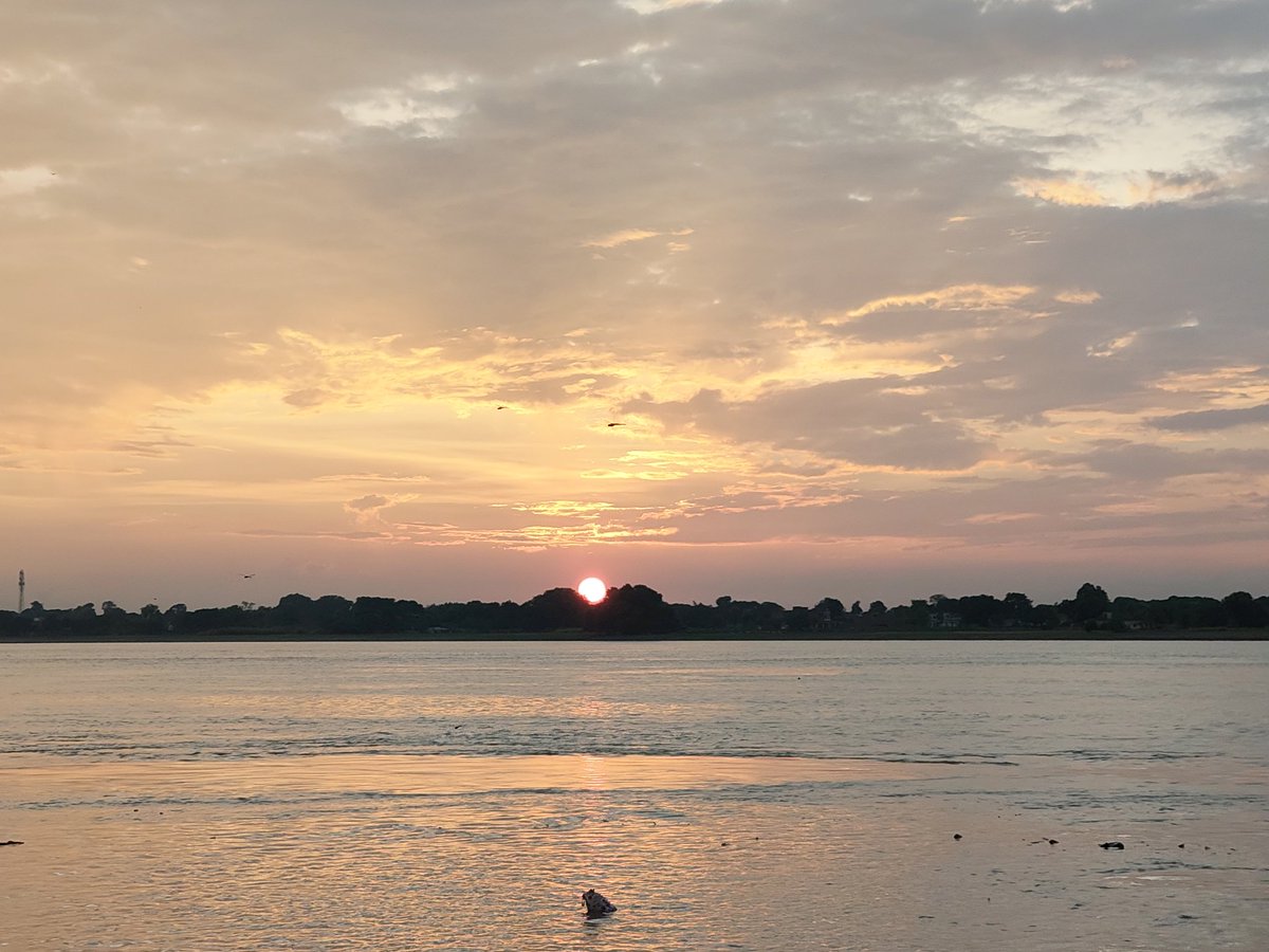 Good evening X legends ✨

What are you doing??