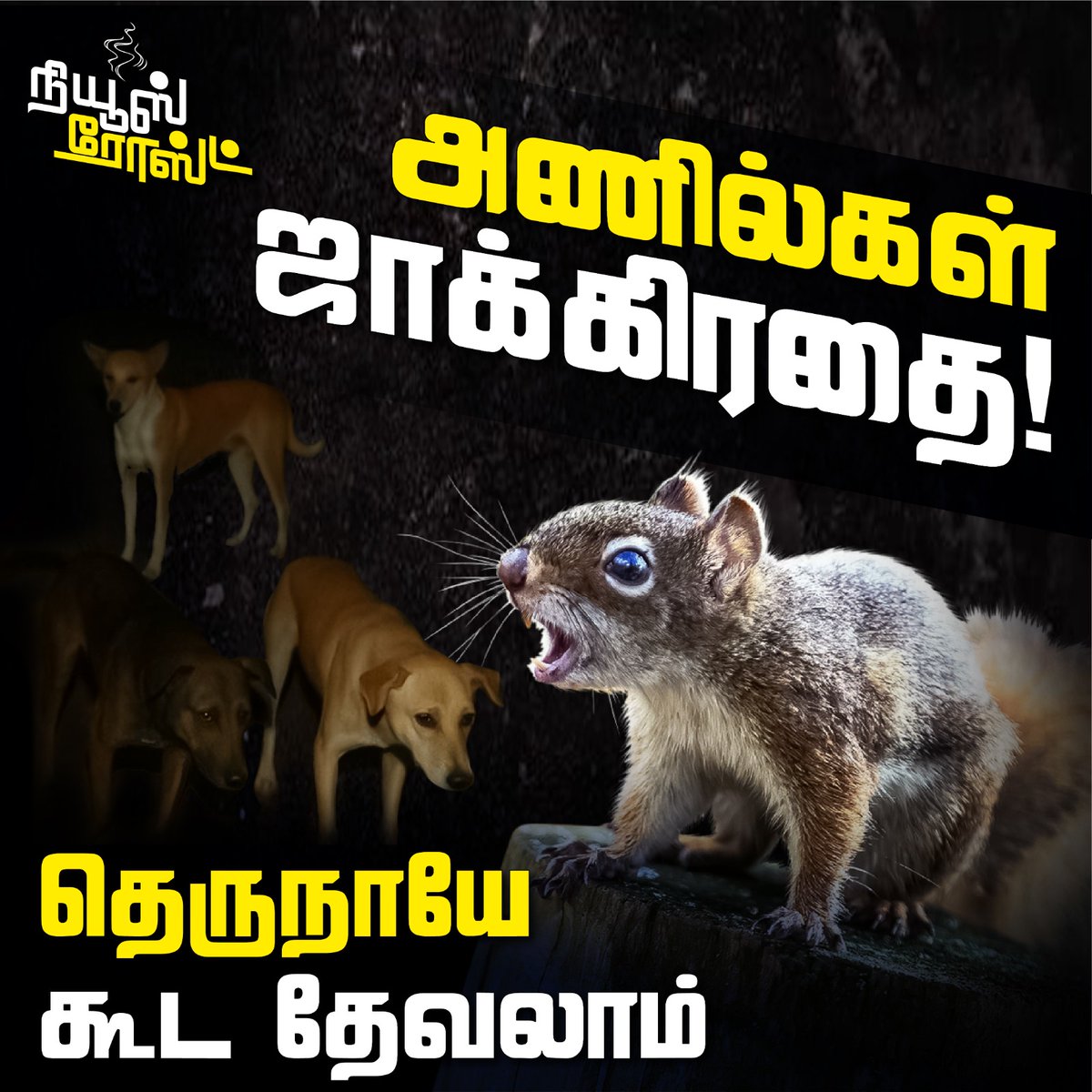 அணில்கள் ஜாக்கிரதை! | News Roast

YouTube Link : youtu.be/jbZrFJ6Z4uE