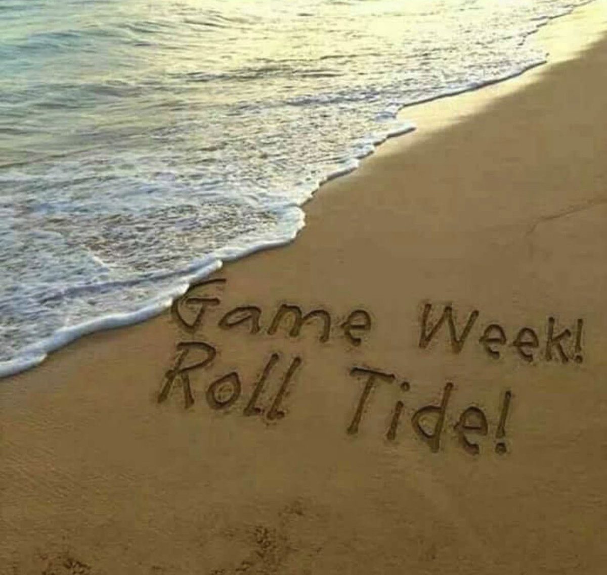 bamasportschick's tweet image. It’s finally here! #GameWeek #RollTide