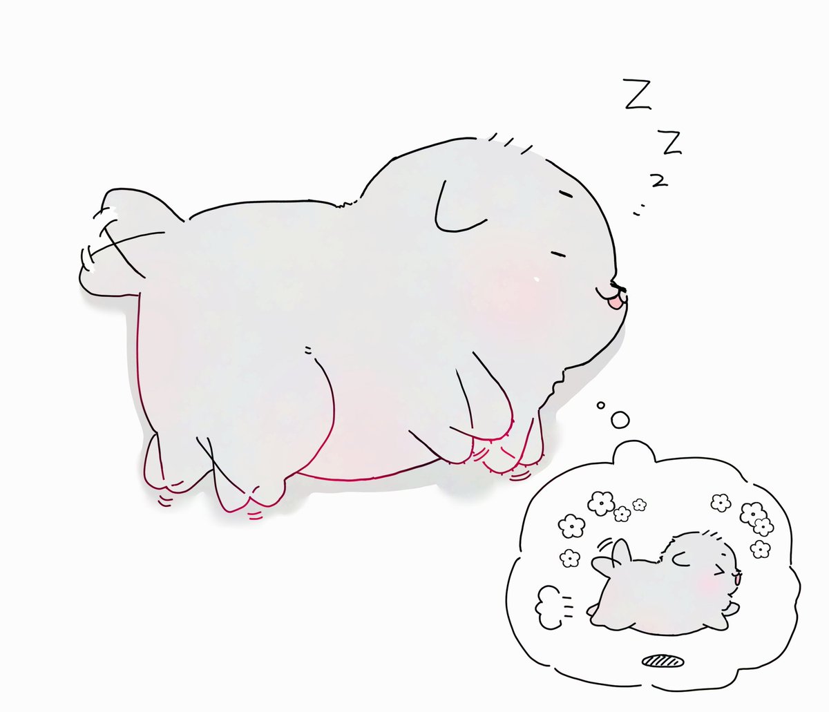 💤🐶💭